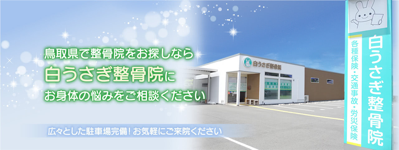 鳥取で整骨院をお探しなら白うさぎ整骨院にお身体のお悩みをご相談ください
                      広々とした駐車場完備。お気軽にご来院ください。